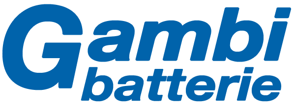 Sostituzione, vendita e manutenzione Batterie Ravenna